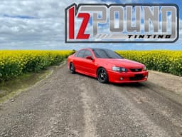 12 Pound Tinting