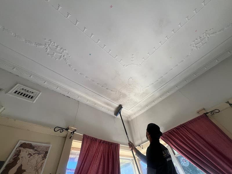1plus cleaning services cleaning work in Mortdale