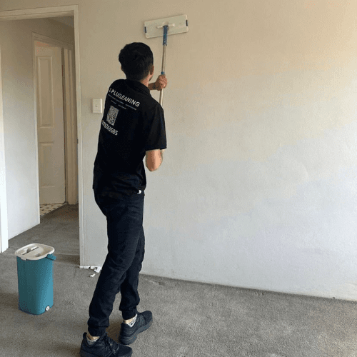 1plus cleaning services cleaning work in Mortdale
