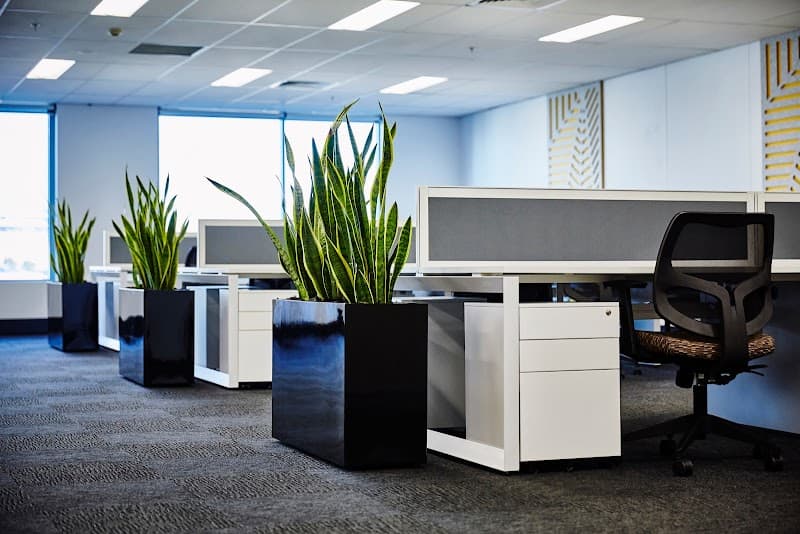 2 Men Removals removalist work in Sydney