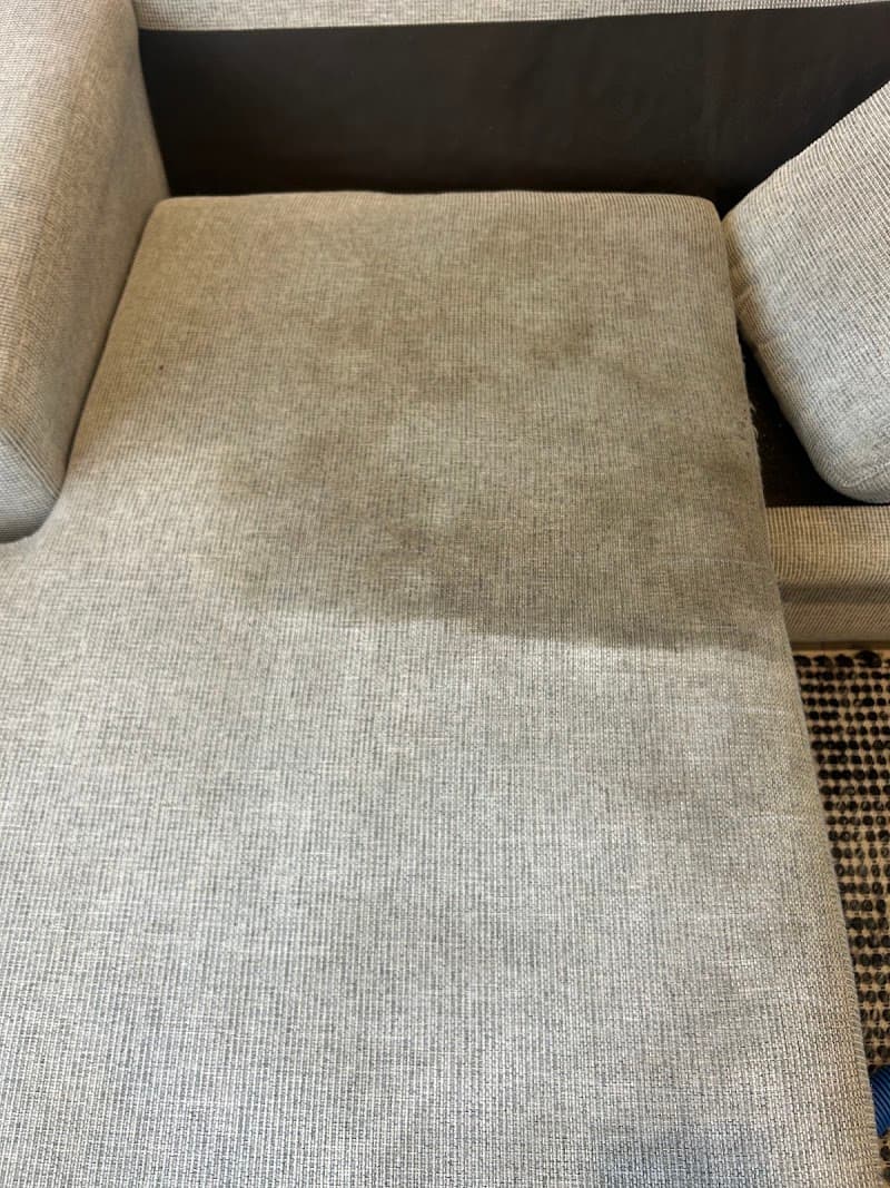 23 Beaches Carpet Cleaning carpet cleaning work in Warriewood