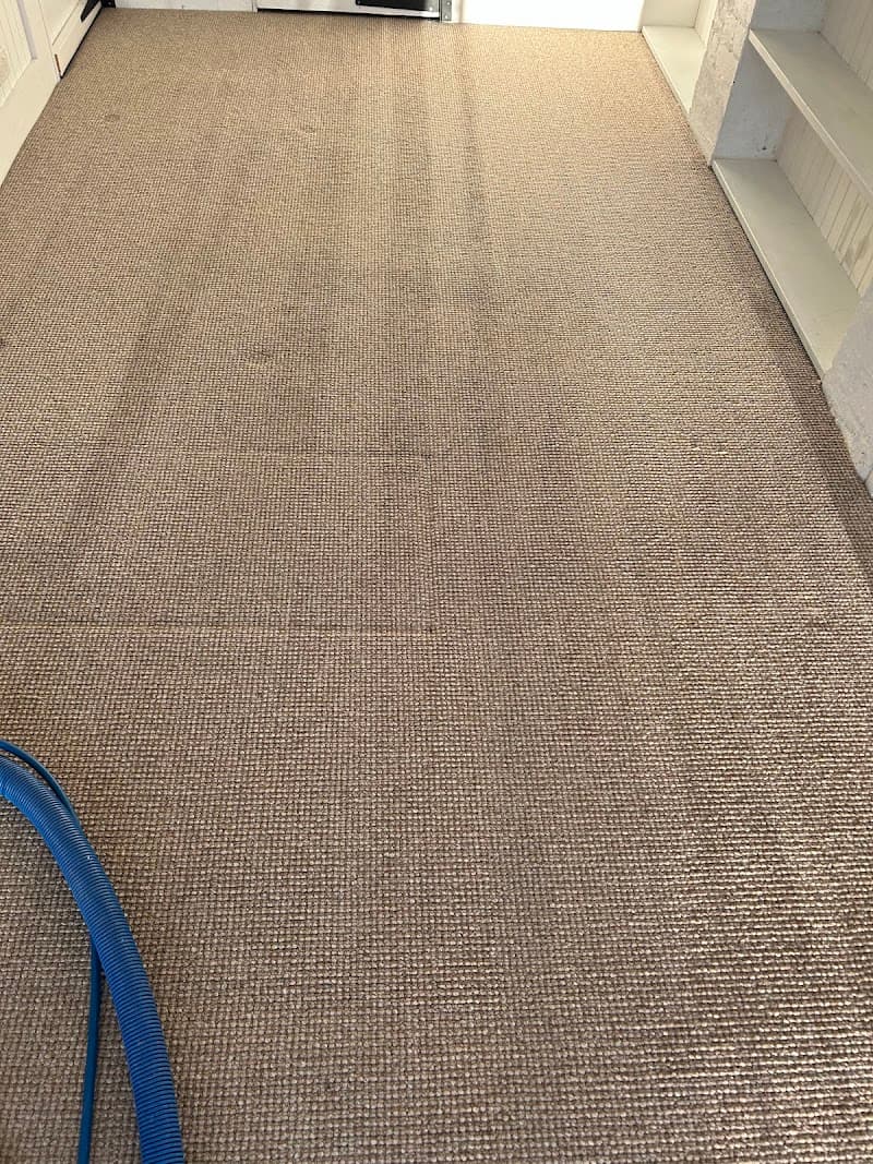 23 Beaches Carpet Cleaning carpet cleaning work in Warriewood