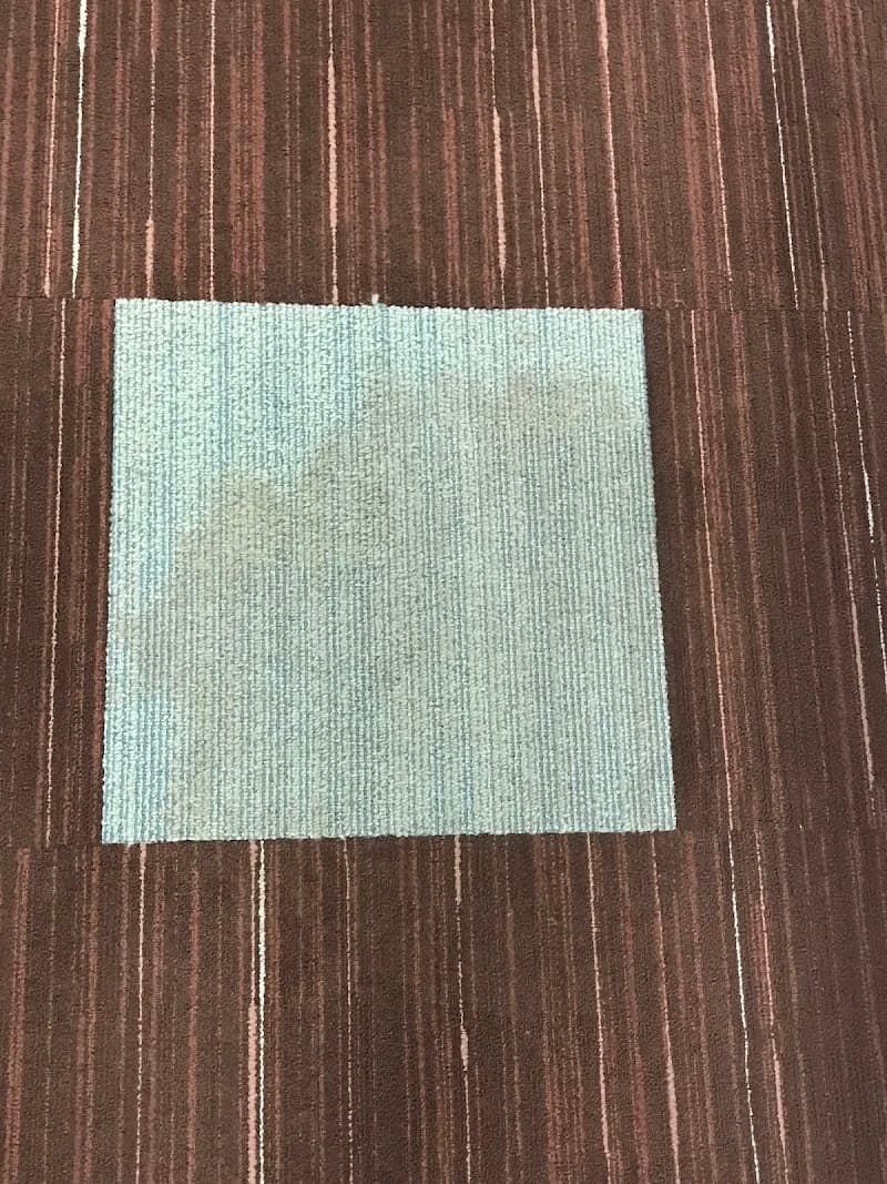 23 Beaches Carpet Cleaning carpet cleaning work in Warriewood
