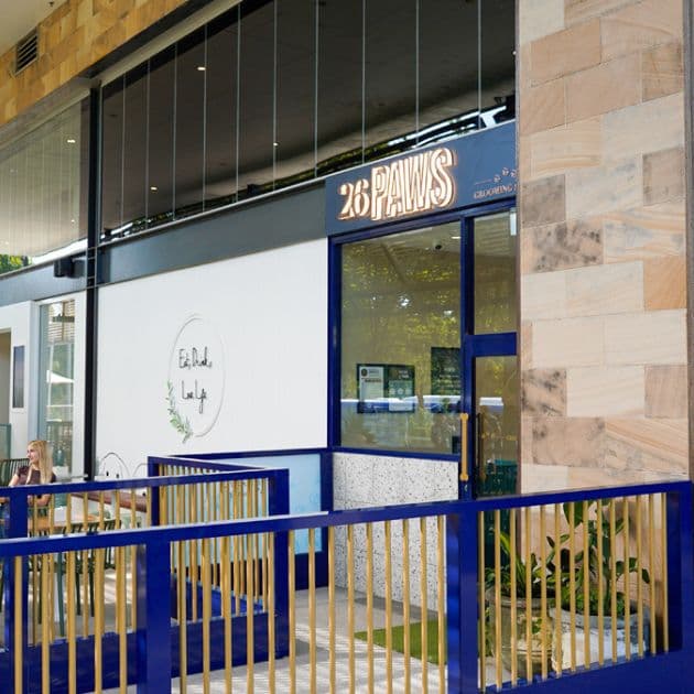 26 Paws Dog Grooming Salon dog grooming work in Chermside