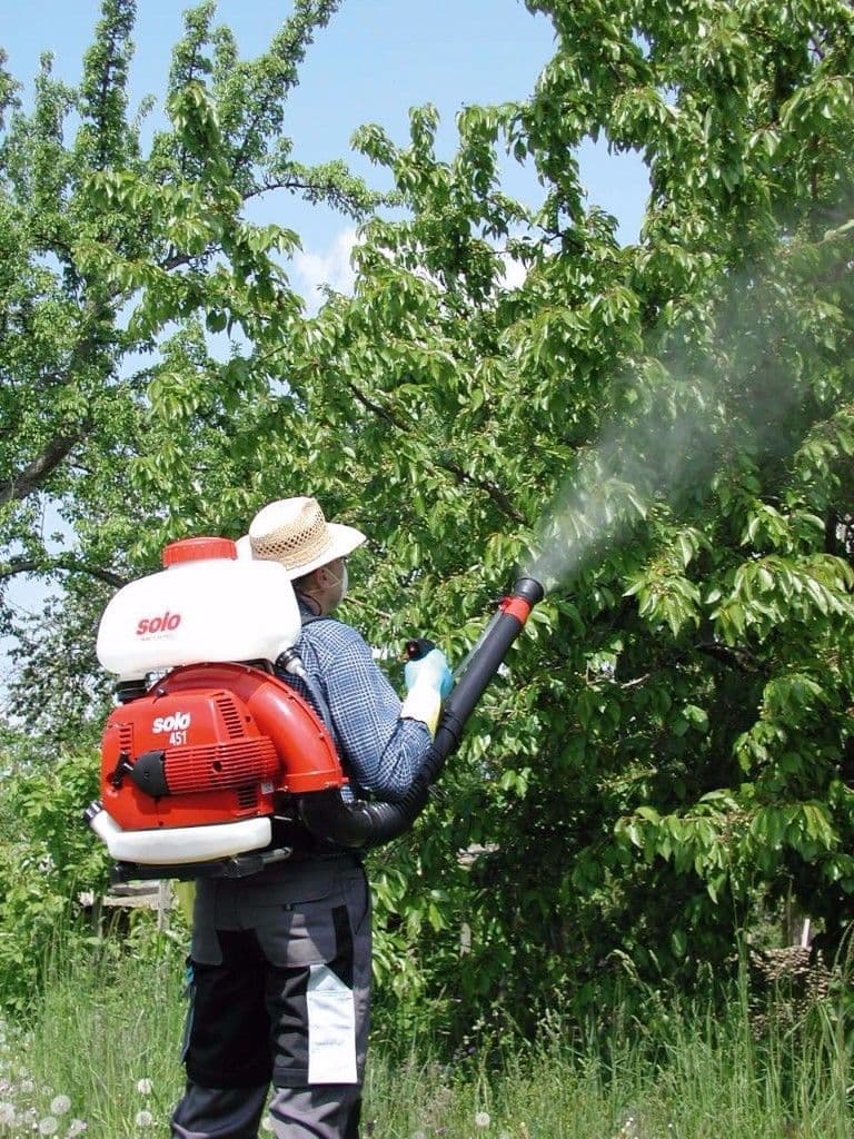 5 Star Pest Solutions pest control work in Dundowran Beach