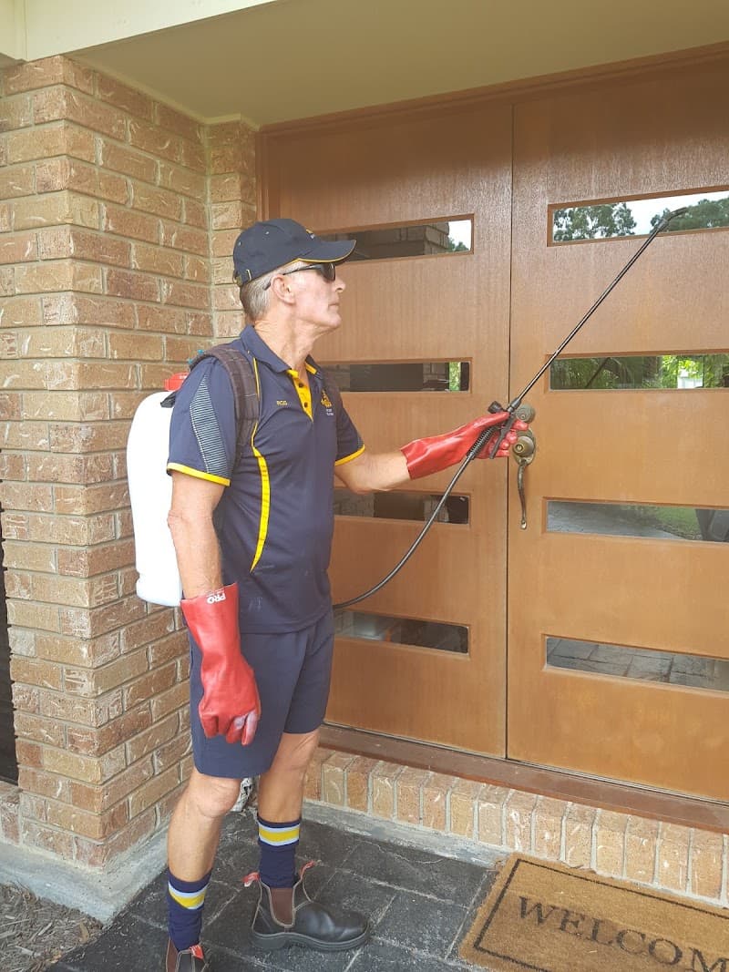 5 Star Pest Solutions pest control work in Dundowran Beach