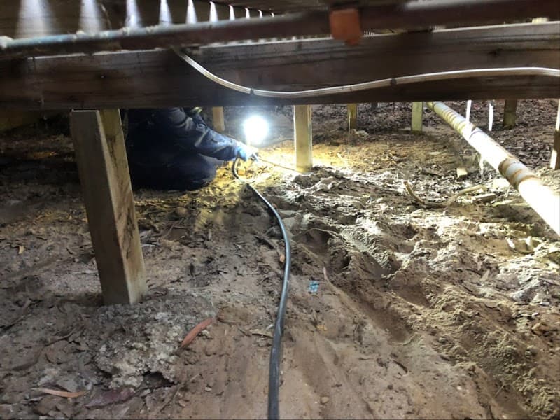5 Star Termite & Pest Control pest control work in Perth