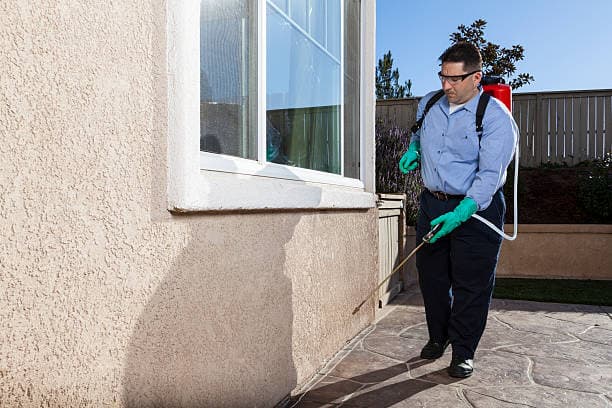 711 Pest Control Melbourne pest control work in Melbourne