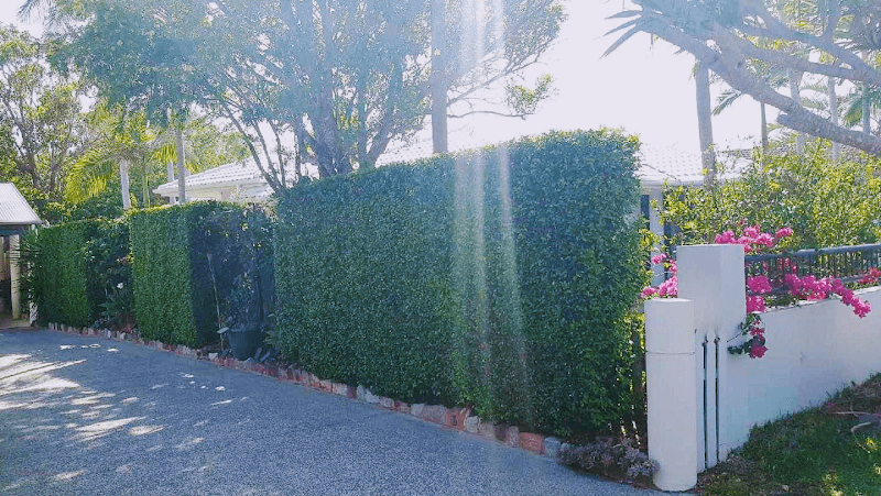 A Cut Above Hedging landscaping work in Torquay