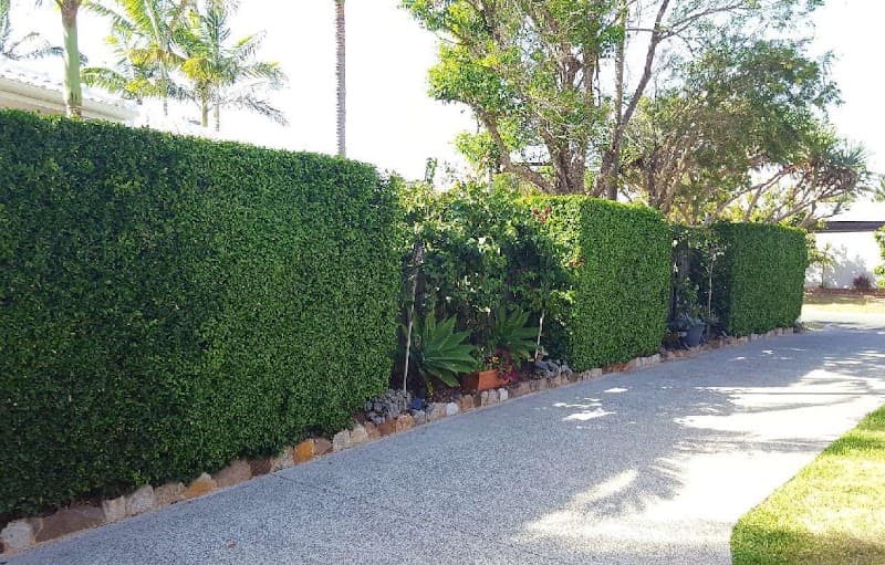 A Cut Above Hedging landscaping work in Torquay