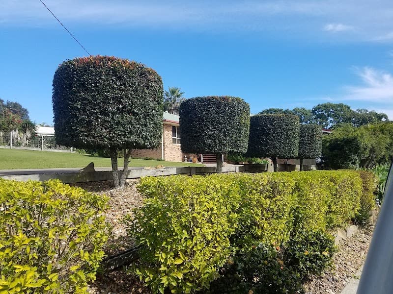 A Cut Above Hedging landscaping work in Torquay