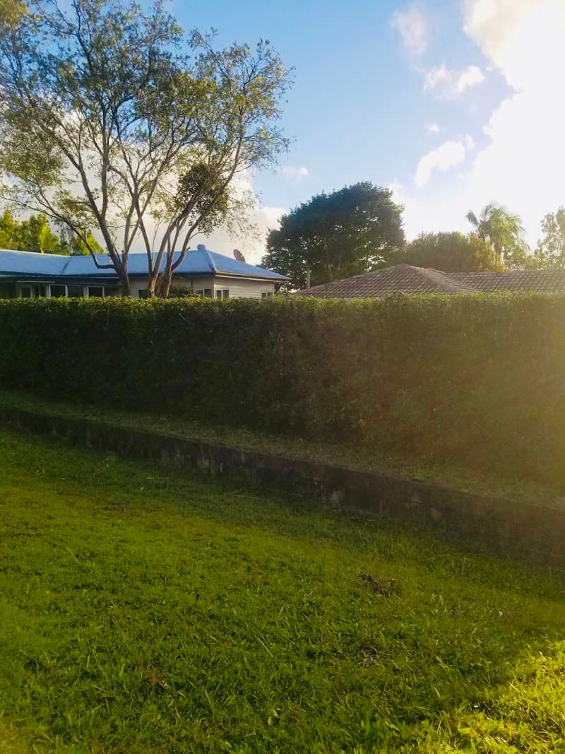 A Cut Above Hedging landscaping work in Torquay