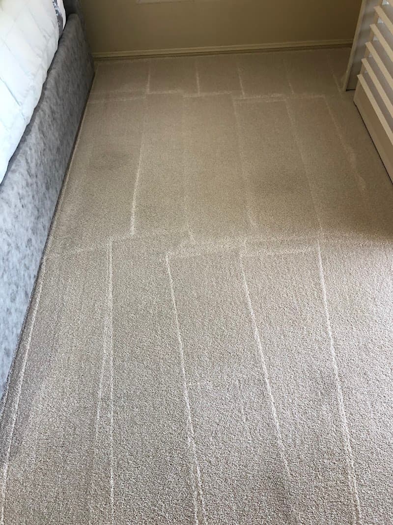 A-Team Carpet & Lounge Cleaning Newcastle carpet cleaning work in Warners Bay