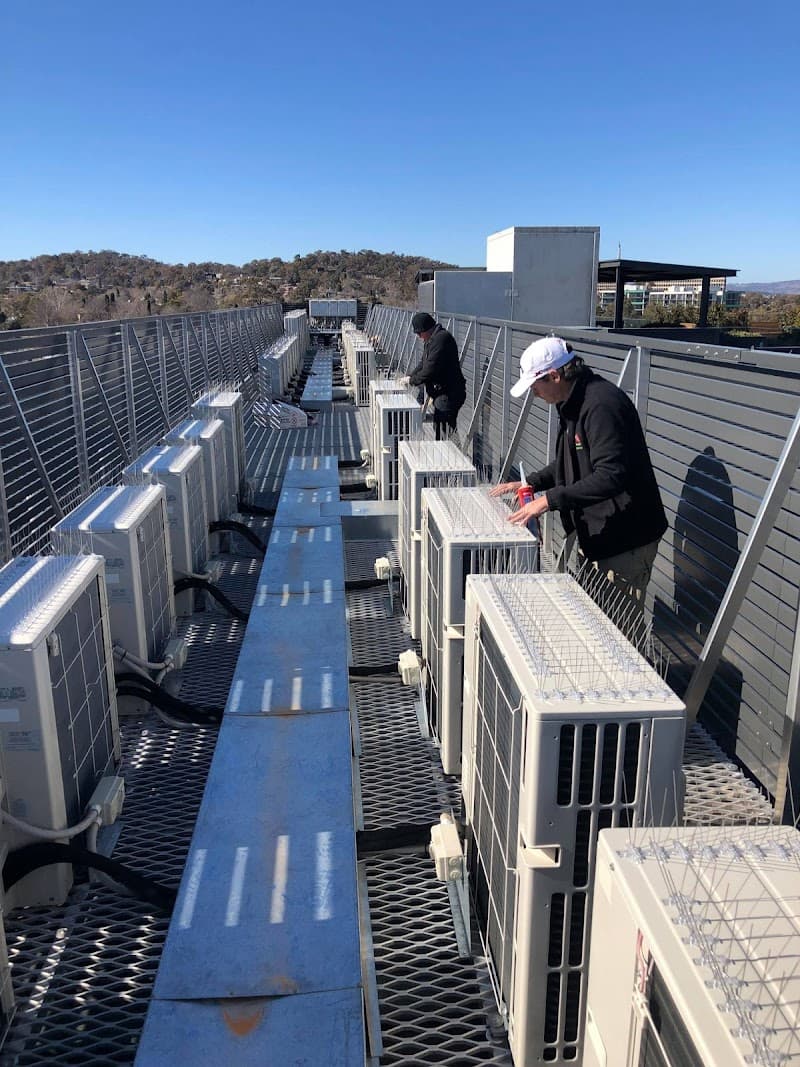 A1 Pest Control Canberra pest control work in Phillip