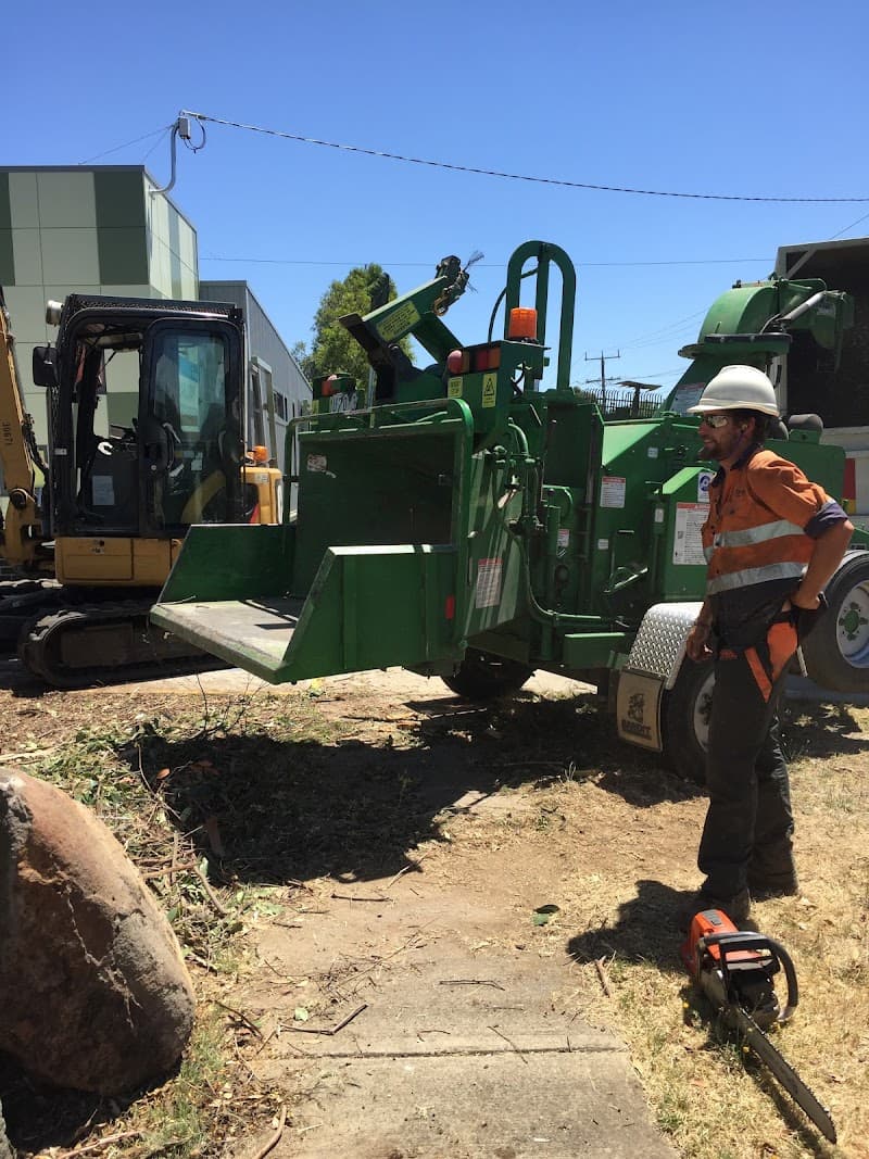 A1 Tree Solutions tree services work in Delacombe