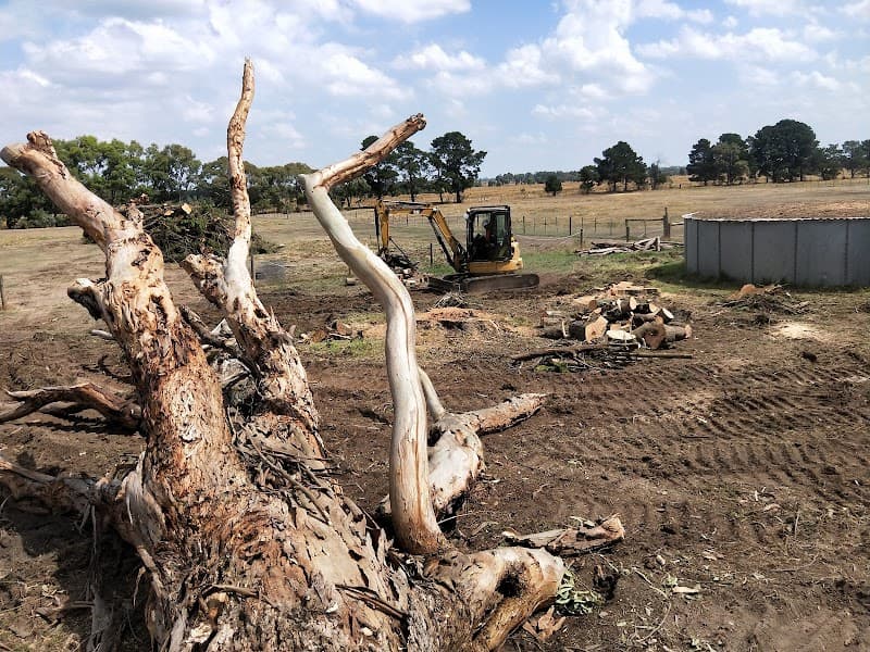 A1 Tree Solutions tree services work in Delacombe