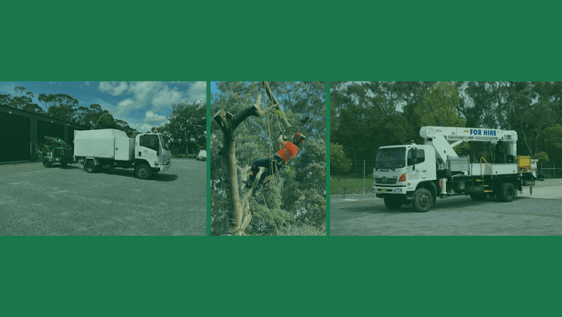 A1 Tree Specialists tree services work in Tarleton
