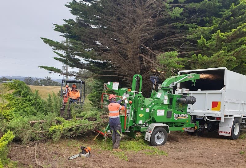 A1 Tree Specialists tree services work in Tarleton