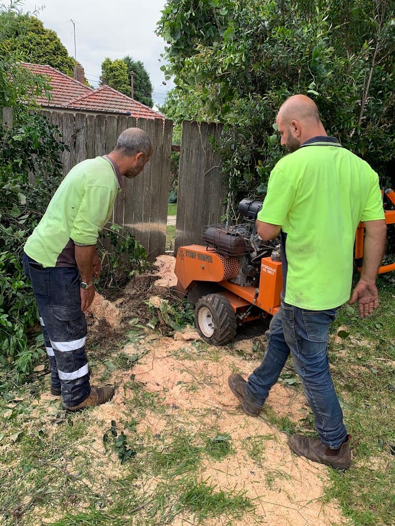 AAA AARDVARK TREE LOPPING AND GARDENING tree services work in Carlingford