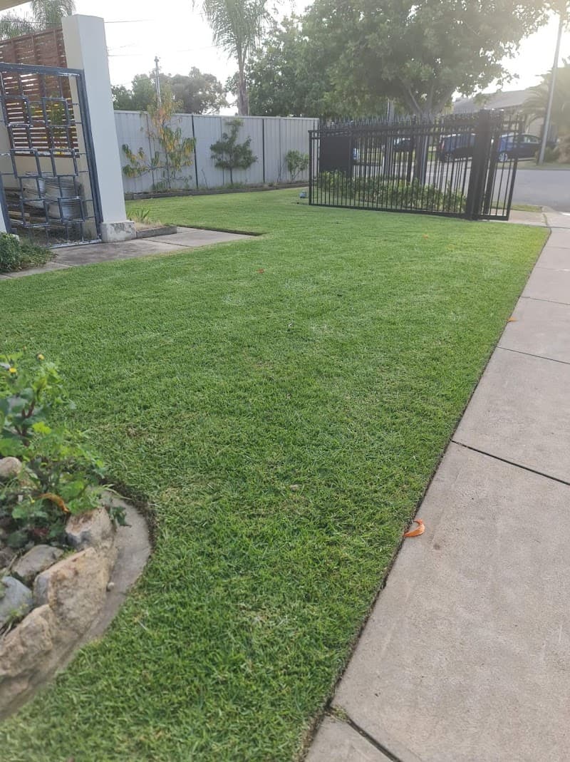 AAA Lawn Services lawn care work in Hackham