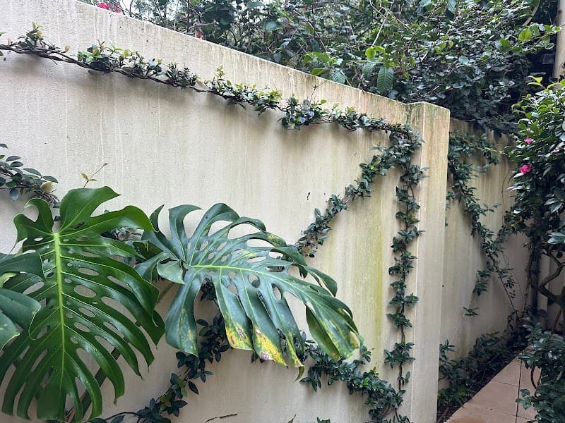 A&C WINDOW CLEANING PTY LTD gutter cleaning work in Belmont North