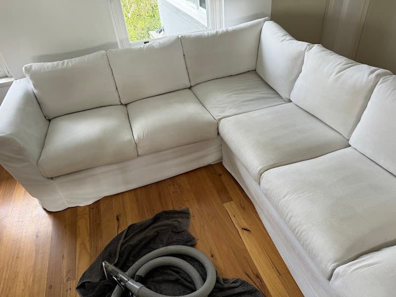 aba Carpet and Upholstery Cleaning carpet cleaning work in Newport