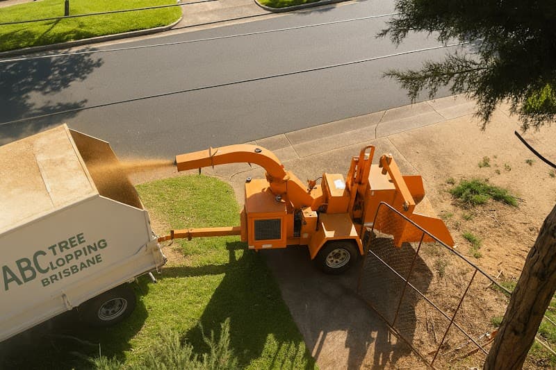 ABC Tree Lopping Brisbane tree services work in Brisbane City