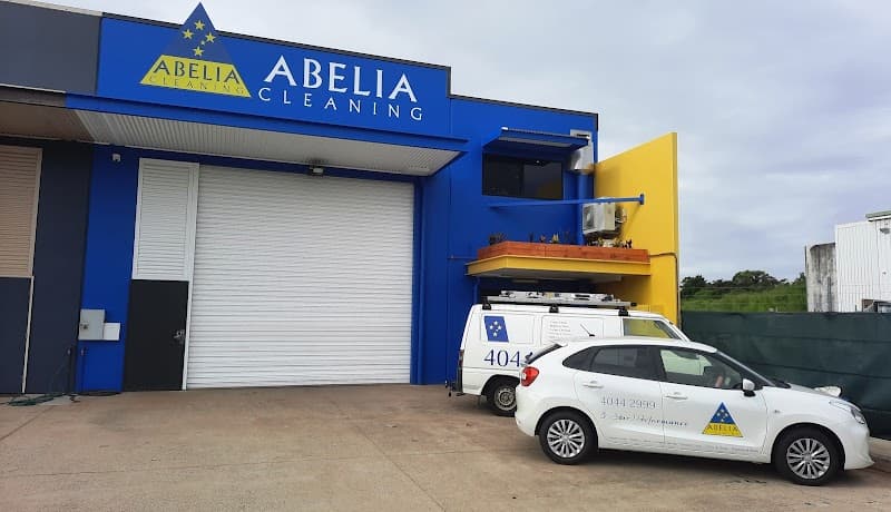Abelia Cleaning carpet cleaning work in Portsmith