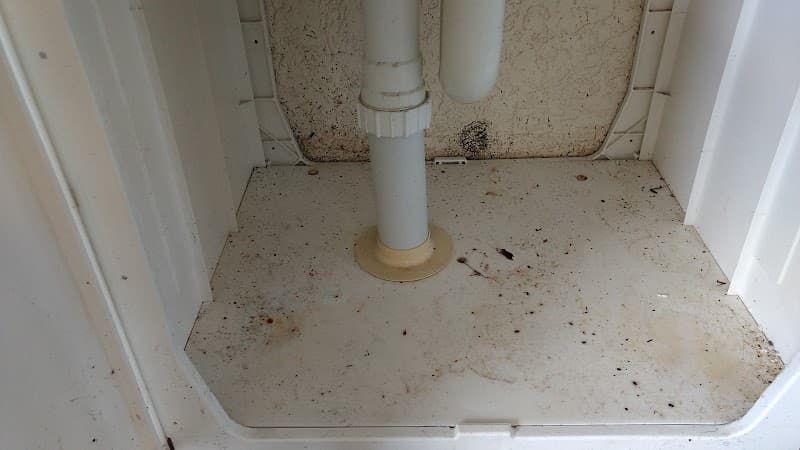 Abelia Cleaning carpet cleaning work in Portsmith
