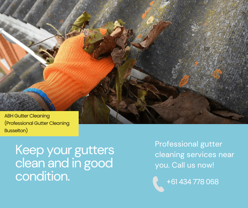 ABH Gutter Cleaning (Professional Roof Gutter Cleaning Busselton) gutter cleaning work in West Busselton