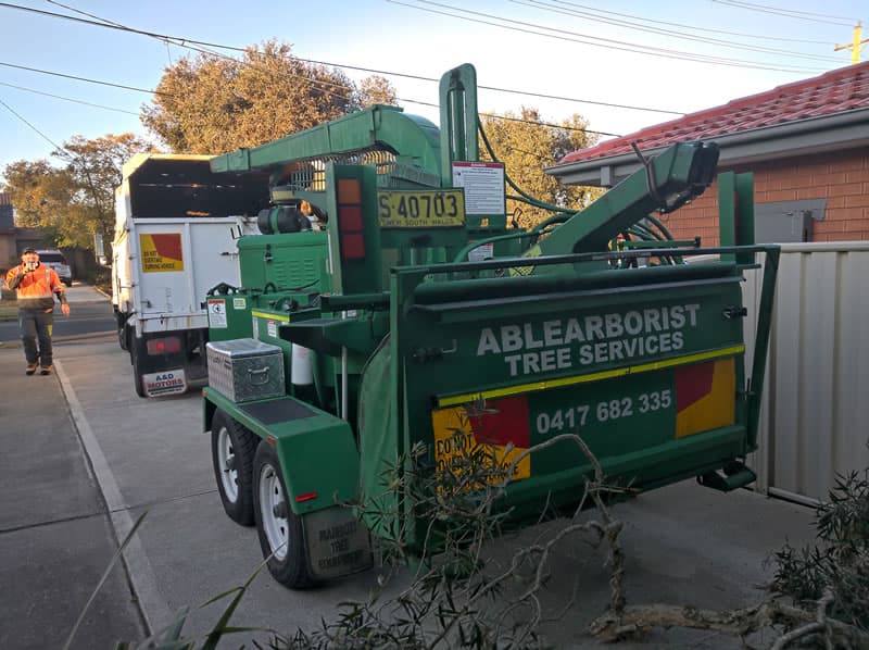 Able Arborist Tree Services tree services work in Hebersham