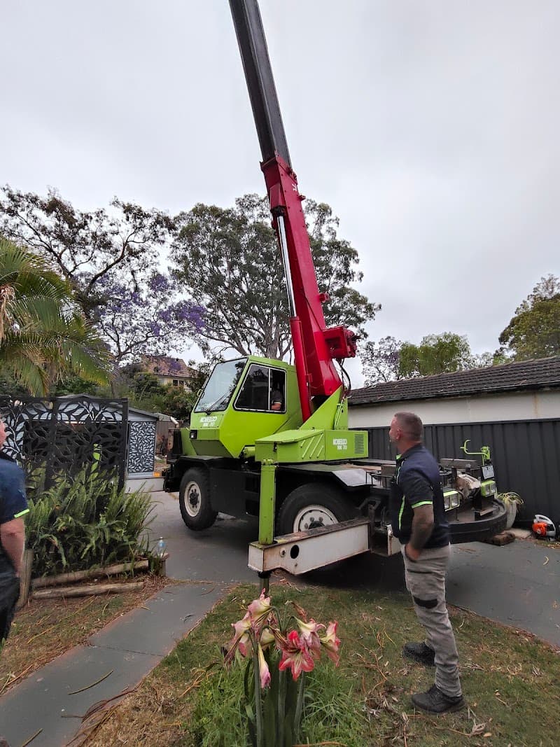 Able Arborist Tree Services tree services work in Hebersham