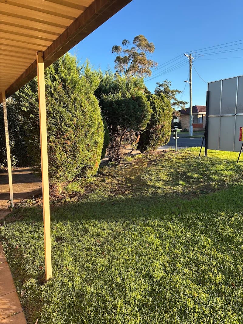Able Arborist Tree Services tree services work in Hebersham