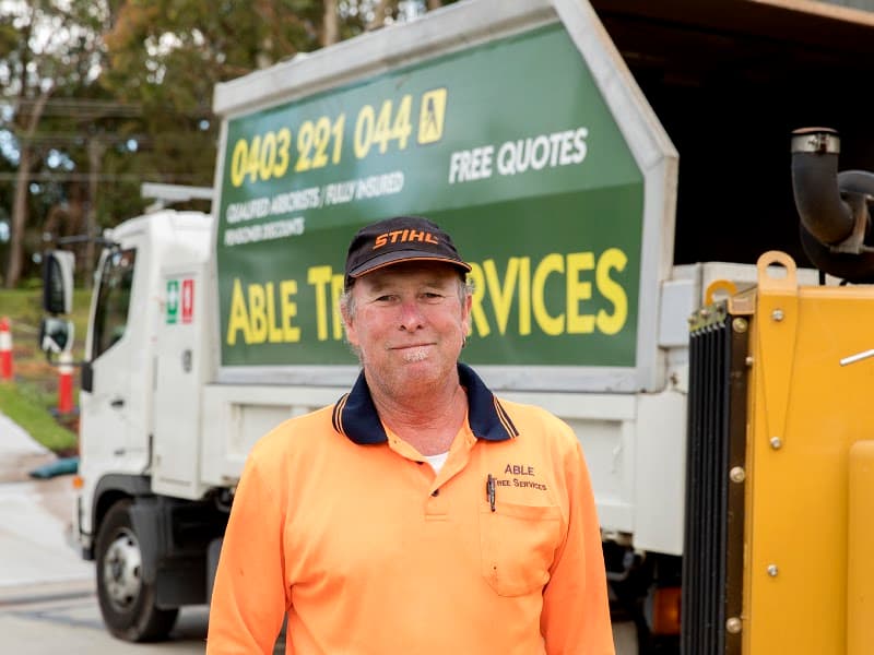 Able Tree Services tree services work in Tingira Heights