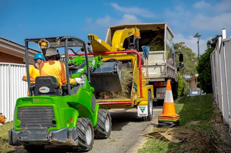 Able Tree Services tree services work in Tingira Heights