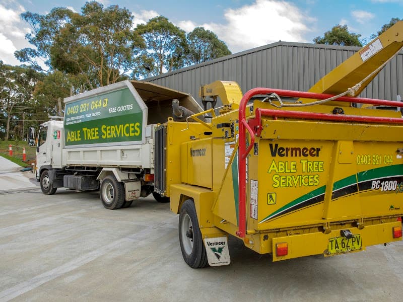 Able Tree Services tree services work in Tingira Heights
