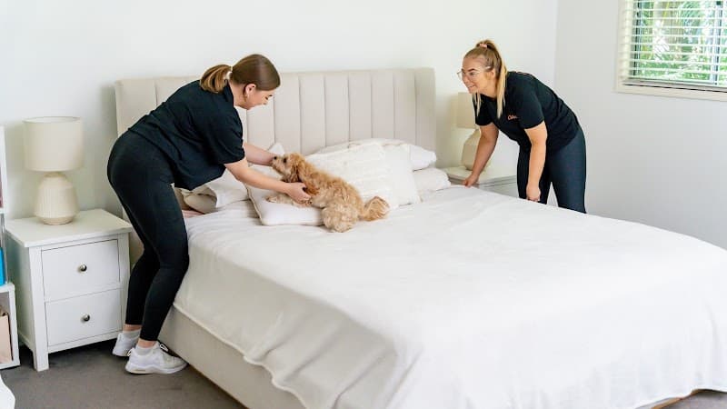 Absolute Domestics cleaning work in Cleveland