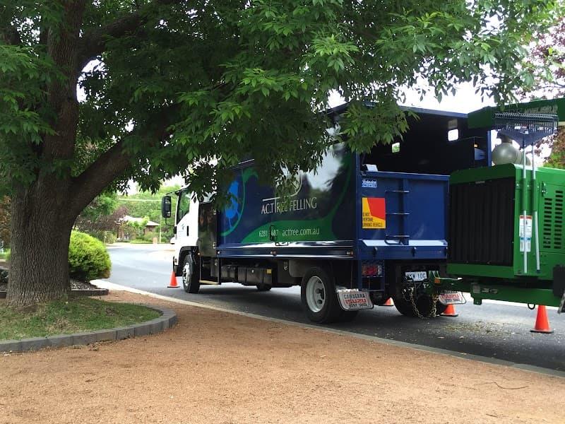 ACT Tree Felling tree services work in Lyons