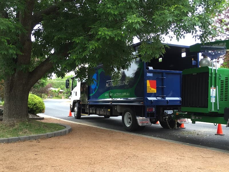 ACT Tree Felling tree services work in Lyons