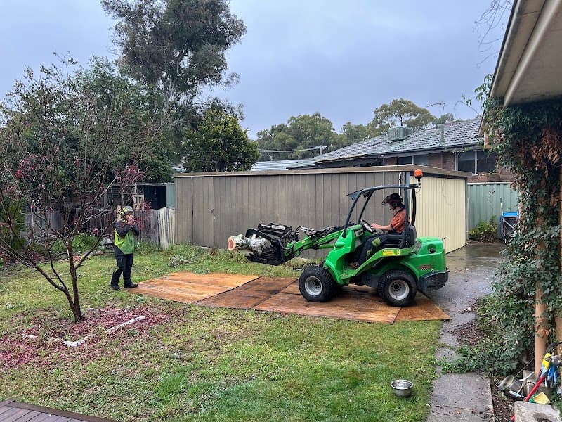 ACT Tree Felling tree services work in Lyons
