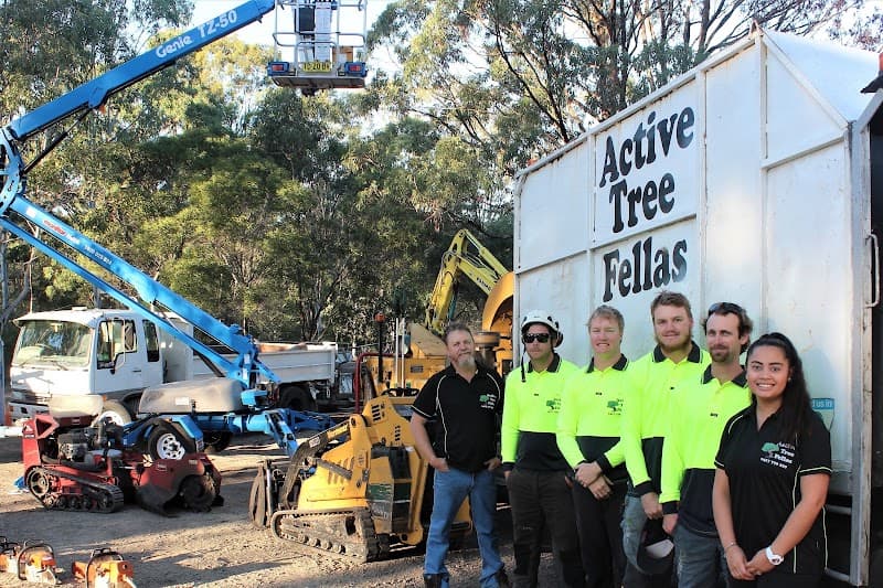 Active Tree Fellas tree services work in River Heads