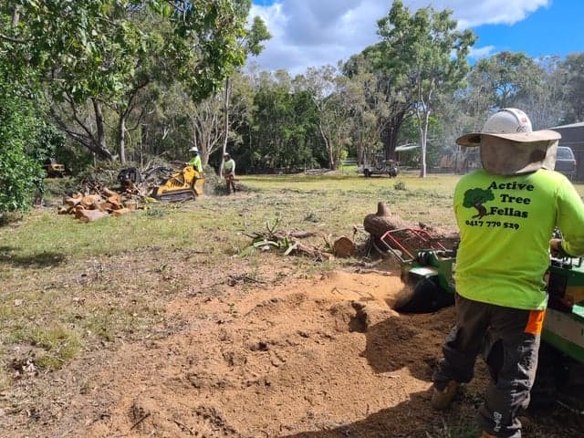 Active Tree Fellas tree services work in River Heads