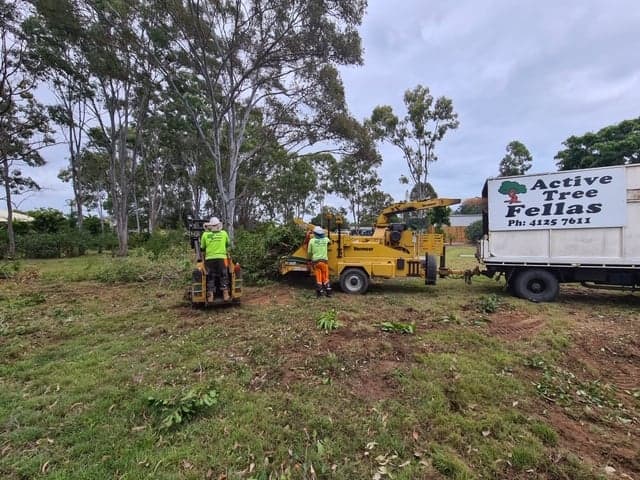 Active Tree Fellas tree services work in River Heads