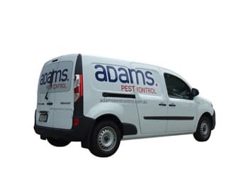 Adams Pest Control pest control work in Allenby Gardens
