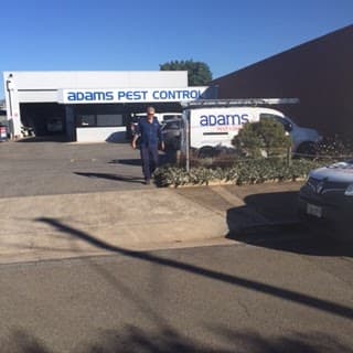 Adams Pest Control pest control work in Allenby Gardens
