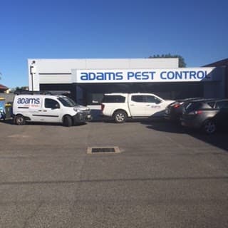 Adams Pest Control pest control work in Allenby Gardens