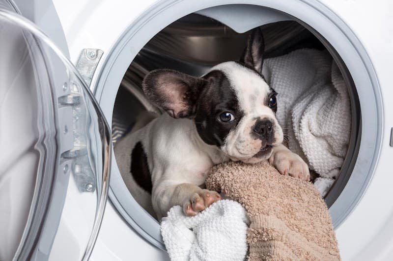 Adelaide Appliance Repairs® appliance repair work in Panorama
