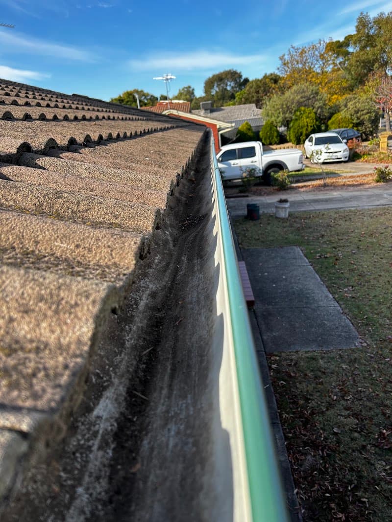 Adelaide Exterior gutter cleaning work in Ingle Farm