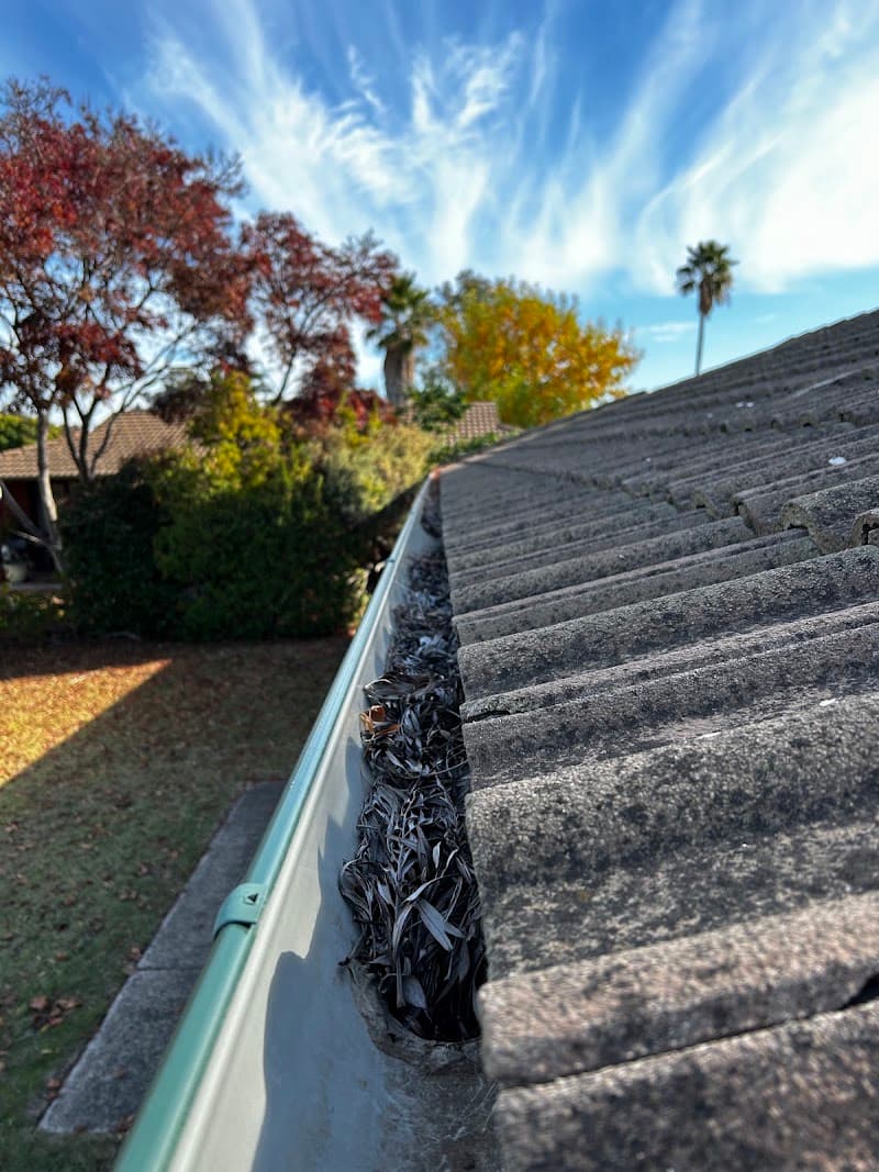 Adelaide Exterior gutter cleaning work in Ingle Farm