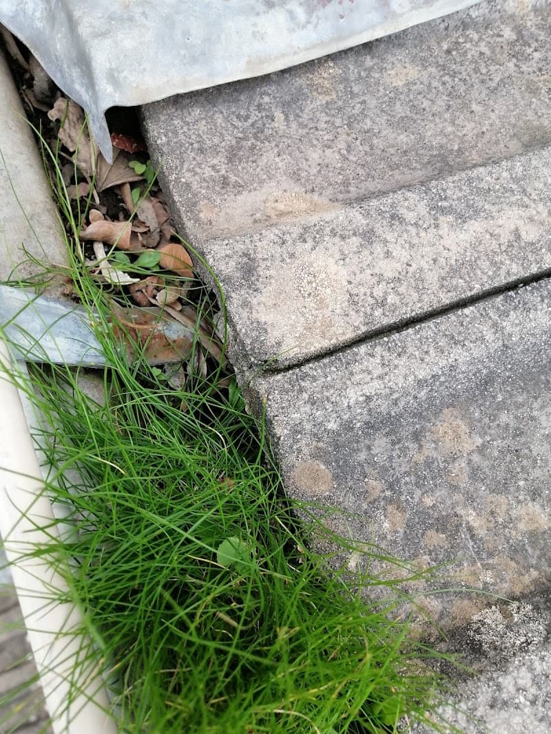 Adelaide Exterior gutter cleaning work in Ingle Farm